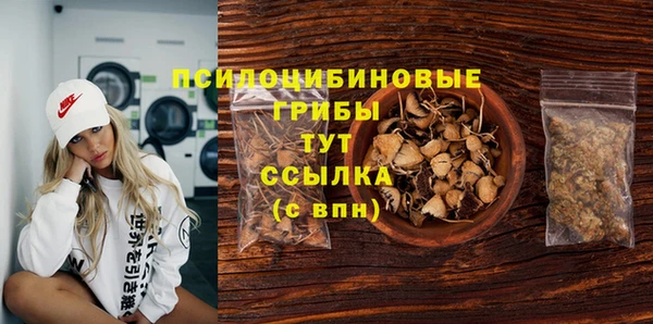 прущие грибы Нефтегорск