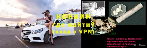 прущие грибы Нефтегорск