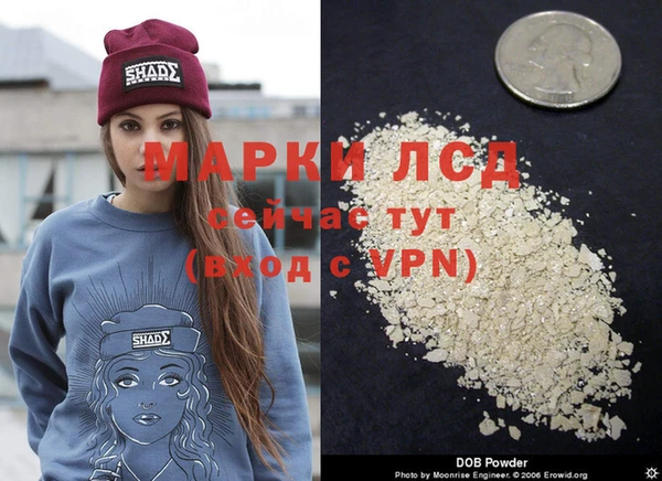 прущие грибы Нефтегорск