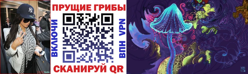 Купить закладки Торжок Псилоцибиновые грибы MAGIC MUSHROOMS